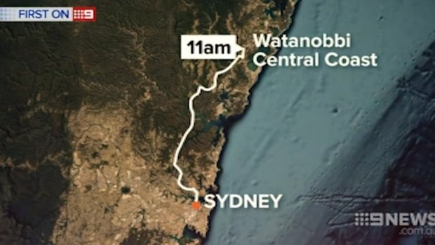 The chase began at Watanobbi, near Wyong, and snaked to Sydney's west.