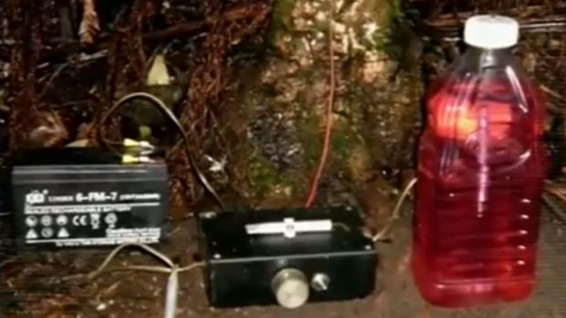 Objects from Paul Hill's camp in the Otway Ranges.