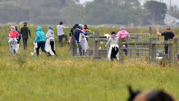 Potential illegal labourers try to escape a police and immigration raid on the Vizzarri asparagus farm at Koo Wee Rup, Victoria.