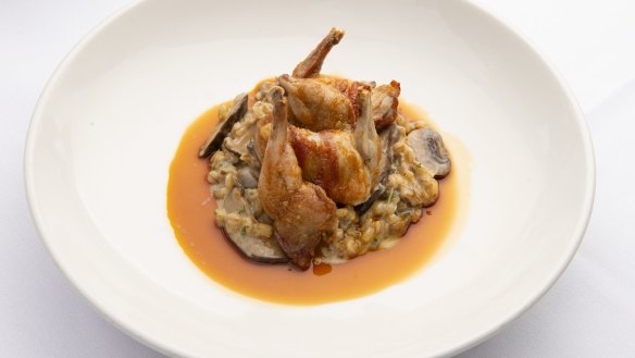 Go-to dish Quaglia arrostita (Gippsland quail with gorgonzola orzotto, mushrooms and pancetta).