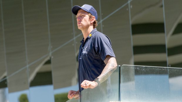 Stress fractures: James Pattinson is facing spinal surgery in New Zealand in a bid to revive his Test career.