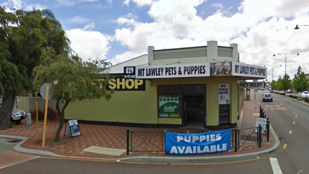 Mt Lawley Pets & Puppies in Inglewood.