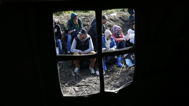 Migrants wait to cross the Serbian-Croatian border on Sunday.