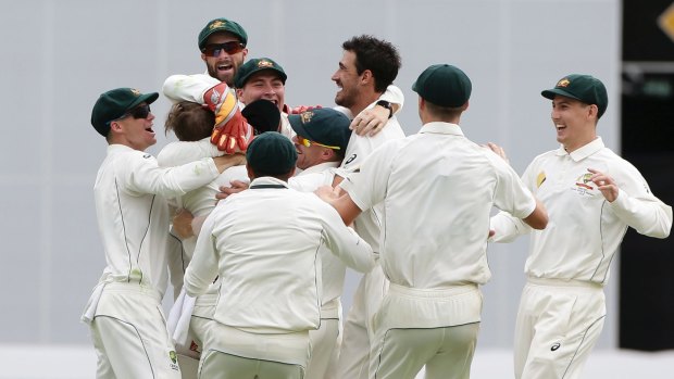Glory daze: Australia celebrate victory against Pakistan in Brisbane.