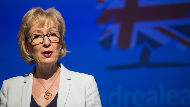 Andrea Leadsom, who supported the Leave campaign, may have grassroots support. 