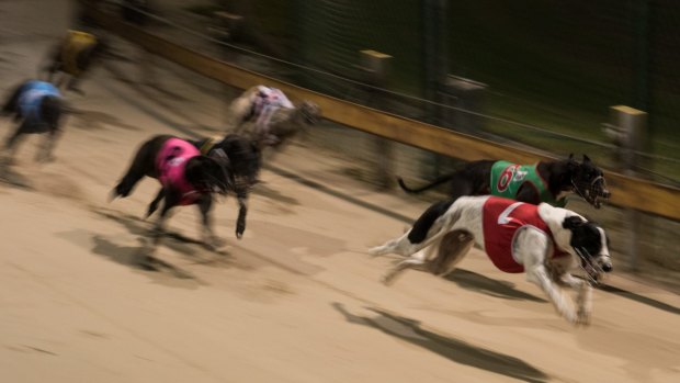 Several trainers had hung their hopes of returning to racing on the application to have the footage rejected.