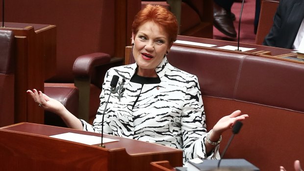 Senator Hanson ended 18 years in the political wilderness this year.