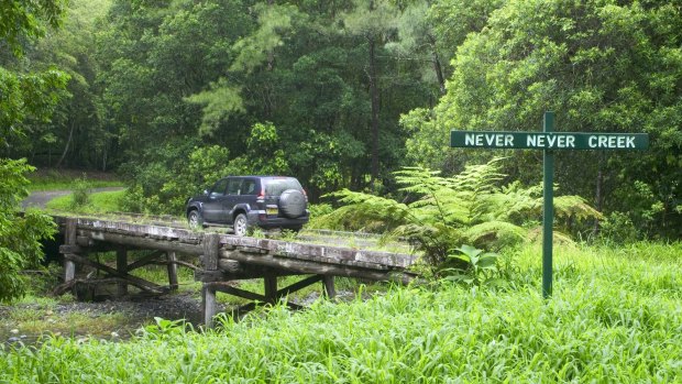 Travelling over Never Never Creek, Gleniffer Gorge, Dorrigo National Park.