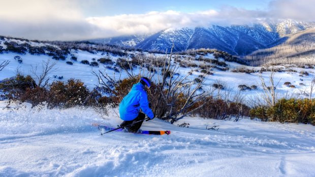 Skiers are flocking to Victoria's Alpine region as storm brings fresh snow. 