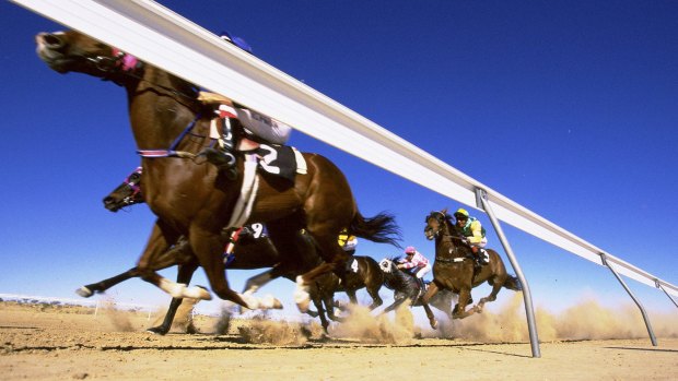 The field rounds the bend onto the final straight in the Birdsville Cup.  