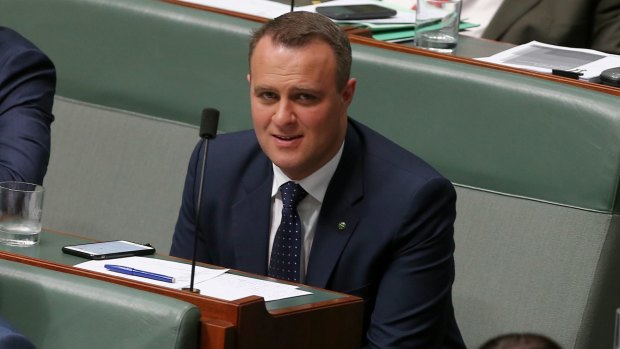 Victorian Liberal MP Tim Wilson is one of several Liberal MPs pushing for a free vote on same-sex marriage.
