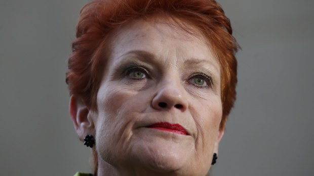 Pauline Hanson is correct when she says that all children have a right to an education. 