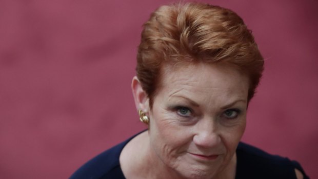 One National leader Pauline Hanson said Vladimir Putin was doing ''so well'' for his country. 