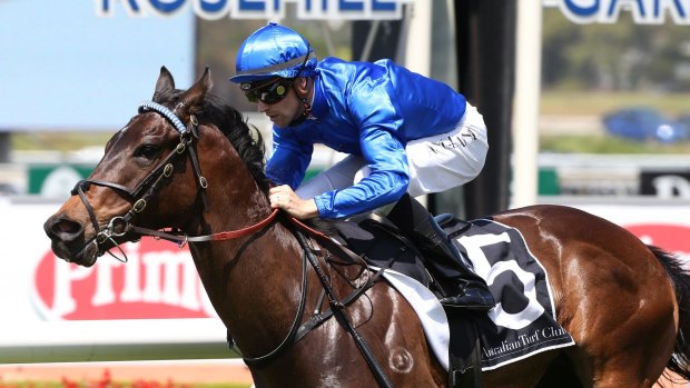 On fire: Tye Angland rides Furnaces to victory at Rosehill on Saturday.