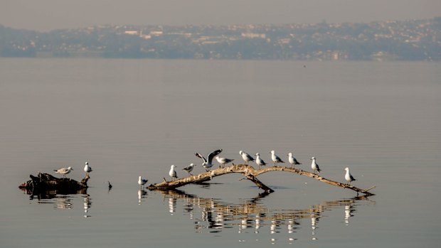 Smoke haze from a hazzard reduction burn hanging over Lake Illawarra in Wollongong on Saturday