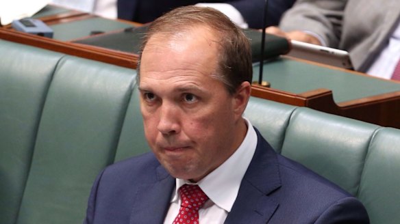 Immigration Minister Peter Dutton. 