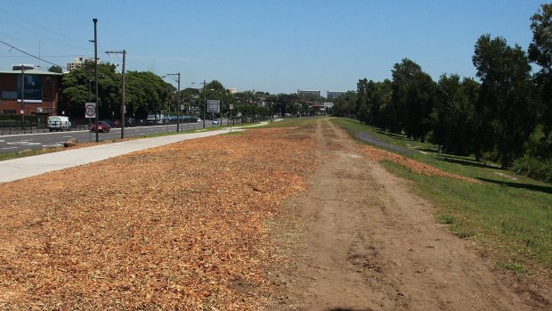 The barren land on Alison Road in Randwick where trees have been cut to make way for the light rail.