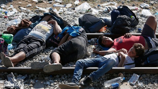 Syrian migrants sleep on railroad tracks at the Greek-Macedonian border.