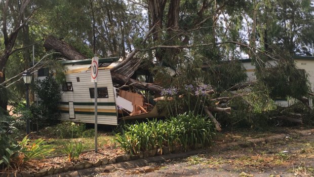 A cabin was crushed by a falling tree during storms in Mudgee.
