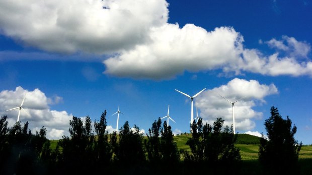 Wind turbines near Jiamusi, in China's Heilongjiang province. Heading into the Paris climate meeting, China – the world's biggest polluter – has yet to accept binding limits.