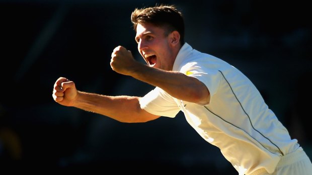Mitch Marsh has hit form in the ODIs but isn't expecting a Test recall soon.