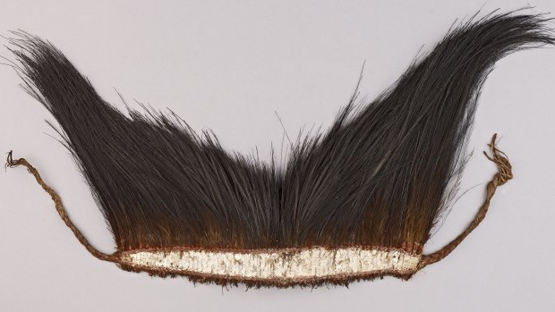 Part of Kebisu’s headdress, collected in the Torres Strait from Maino by Alfred Cort Haddon in 1888.