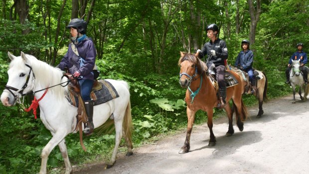 During the search: rescuers on horseback look for 7-year-old boy in a forest on Hokkaido.