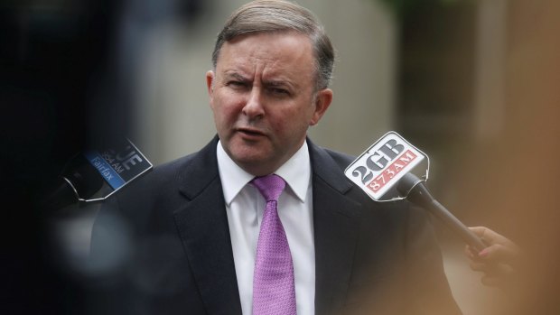 Anthony Albanese has labelled the plan is "unilateral economic disarmament".