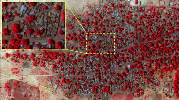 An infrared satellite image shows Doron Baga on January 2, with trees and vegetation intact (in red). 