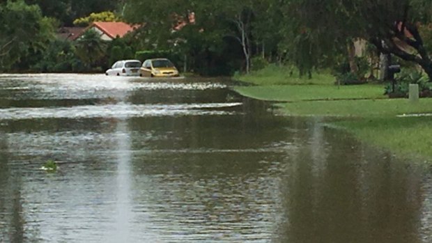 Cars are caught up in the floods in Ocean Shores on the NSW North Coast. 