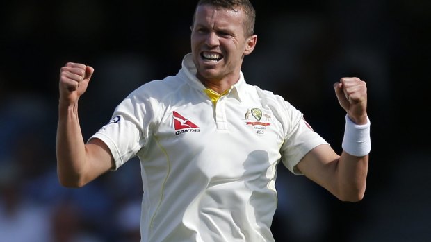 Peter Siddle: starred on his return to the Australian side.