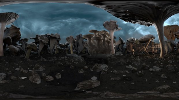 Planet immerses viewers in a range of strange environments.