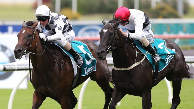 Headquarters form: Glen Boss rides Miss Cover Girl to win the P J Bell Stakes at Randwick.