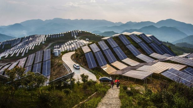 Solar PV panels at a power station in China's Fujian province.
