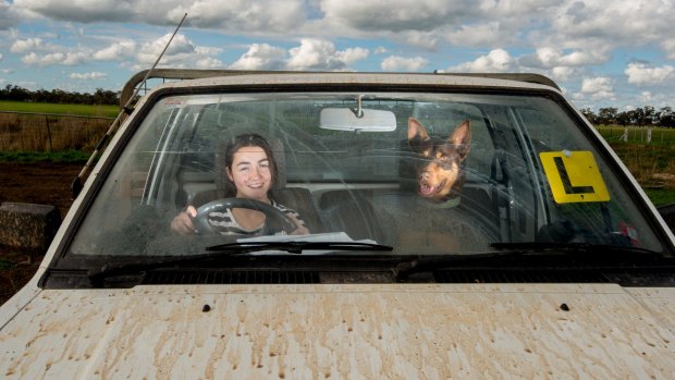 Seventeen-year-old Charlotte Verley, pictured on her family farm at Boort with dog Bob, is one 17-year-old who believes teenagers her age should be able to get their probationary licence. 