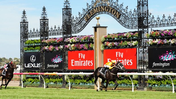Flying high: Brazen Beau has claimed group 1 honours in Australia and now takes up the challenge of Royal Ascot.