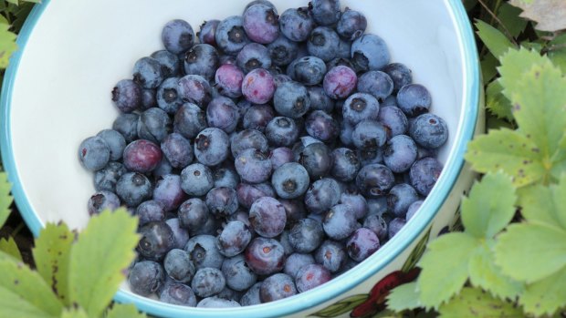 Blueberries have been marketed as one of nature's most potent antioxidants. 