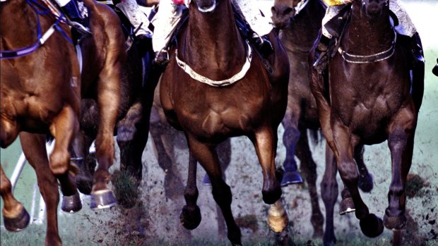 The QRIC is an independent statutory body overseeing the integrity and welfare standards of racing animals and participants in Queensland.