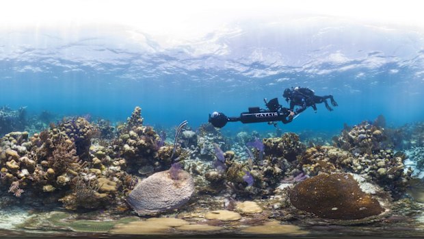 Glovers Reef in Belize.