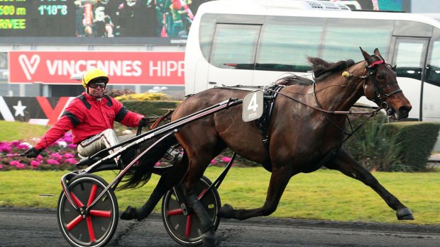 Champion French trotter Bold Eagle is set to race in the Elitloppet in Sweden.