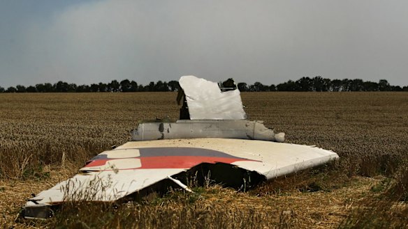 A portion of a MH17 wing lies in a field as smoke rises behind the treeline where fighting continued close to the crash site.