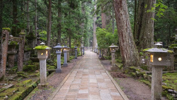 Stone lanterns line the path through the forest at Mount Koya.