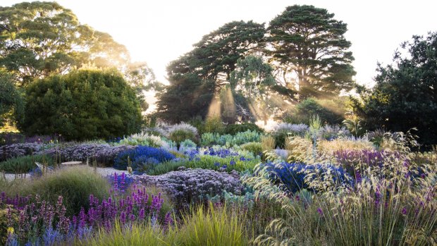 Claire Takacs' new book, Dreamscapes, features some of the world's most beautiful gardens.