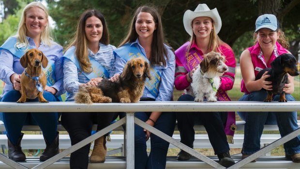 Bungendore's Ashley Meyer-Dilley, Steph Davies, Hanna Darmody, Laura Worden and Georgia Kinnane-Fort with dachshunds Thomas, Toffee, Rufus and Smudge who will be competing in wiener dash.