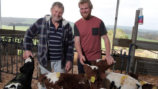 Cooriemungle dairy farmers Ross Powell (left) and Andrew Powell are optimistic about the launch of the Murray Goulburn Co-operative on the ASX. 