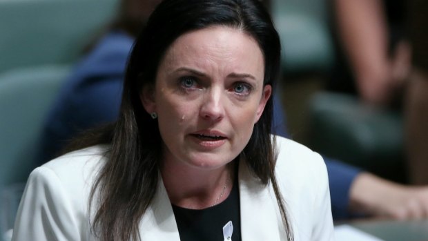 Labor MP Emma Husar speaks about her personal experience with family violence.