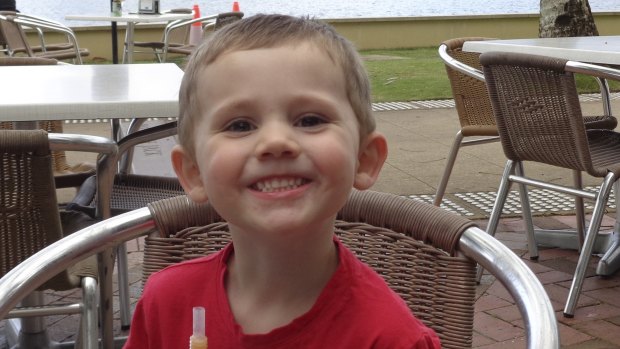 Police have been given information about 600 persons of interest in the William Tyrrell investigation. 