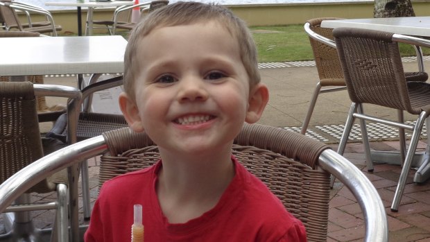 Police have been given information about 600 persons of interest in the William Tyrrell investigation. 