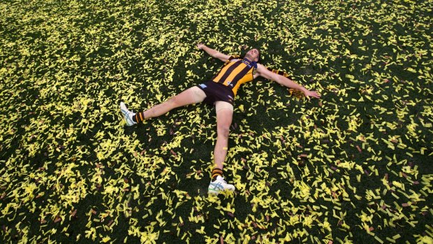 Living in the moment: Ben Stratton after Hawthorn beat the Freemantle Dockers at the MCG in 2013.
