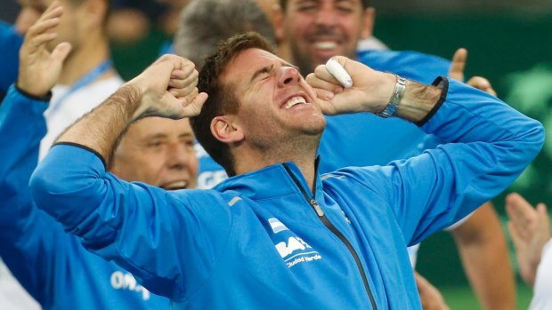 Relief: Argentina's Juan Martin Del Potro celebrates their maiden Davis Cup win.